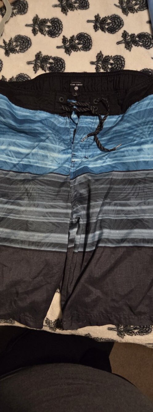 Ocean Current Blue and Gray Striped Hybrid Shorts